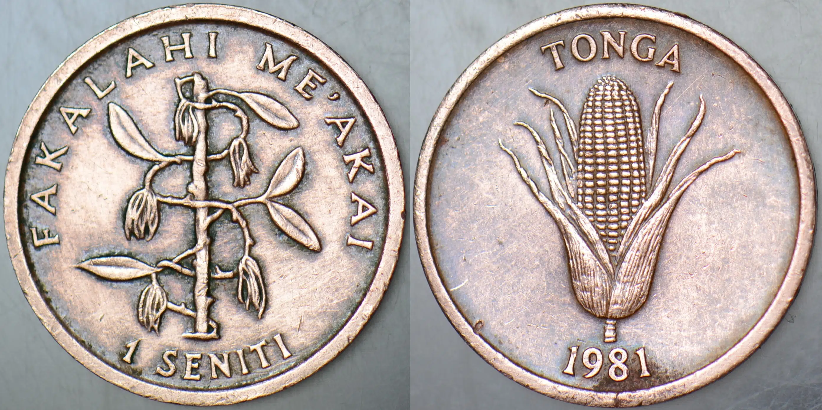 TONGA 1 SENİTİ 1981 FAO-DÜNYA GIDA GÜNÜ.