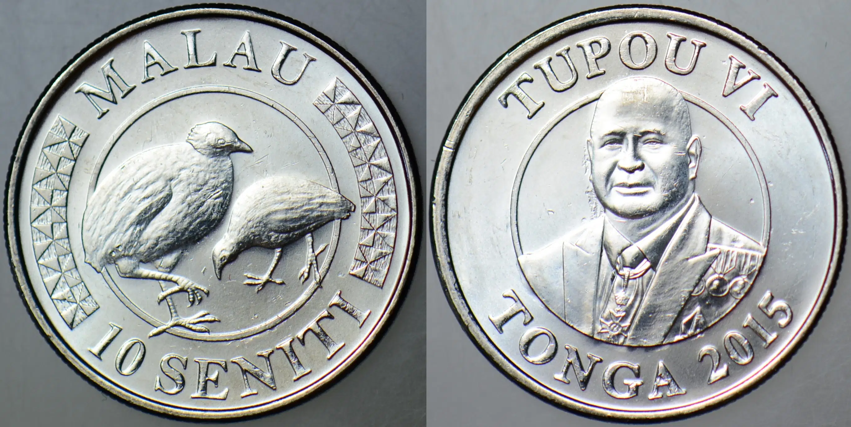 TONGA 10 SENİTİ 2015 ÇİL.