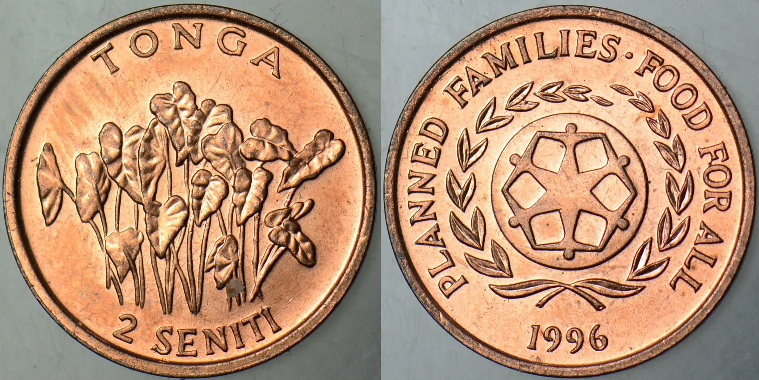 TONGA 2 SENİTİ 1996 FAO. ÇİL.