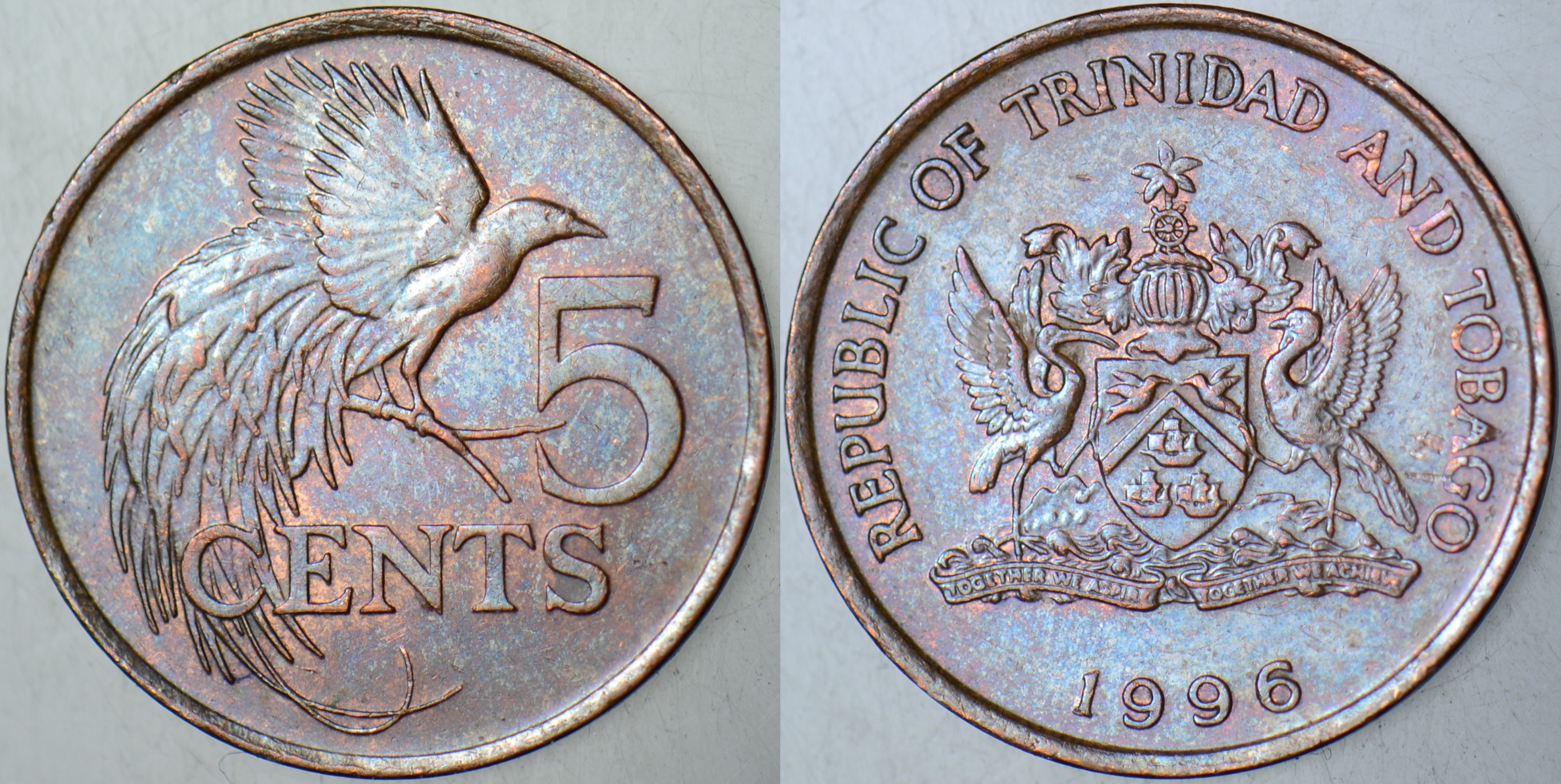 TRİNİDAD VE TOBAGO 5 CENT 1996.