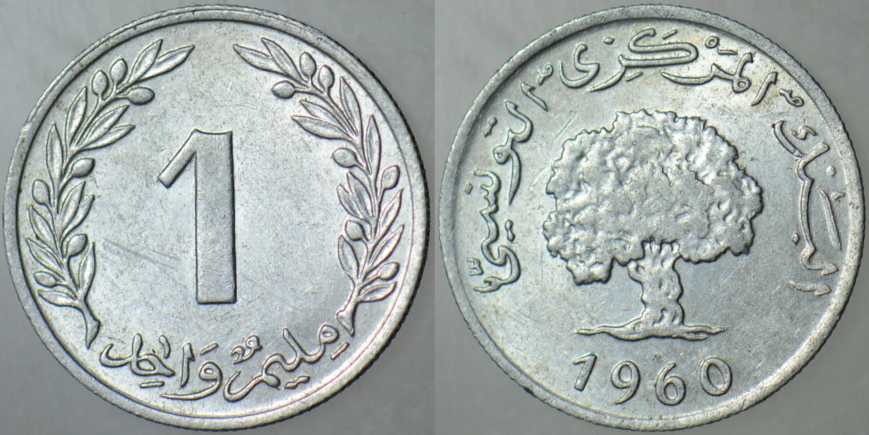 TUNUS 1 MİLİM 1960 ÇİLALTI.