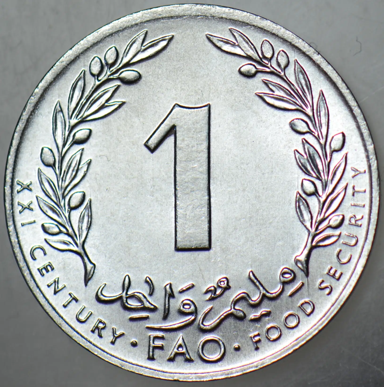 TUNUS 1 MİLLİM 2000 FAO ÇİL.
