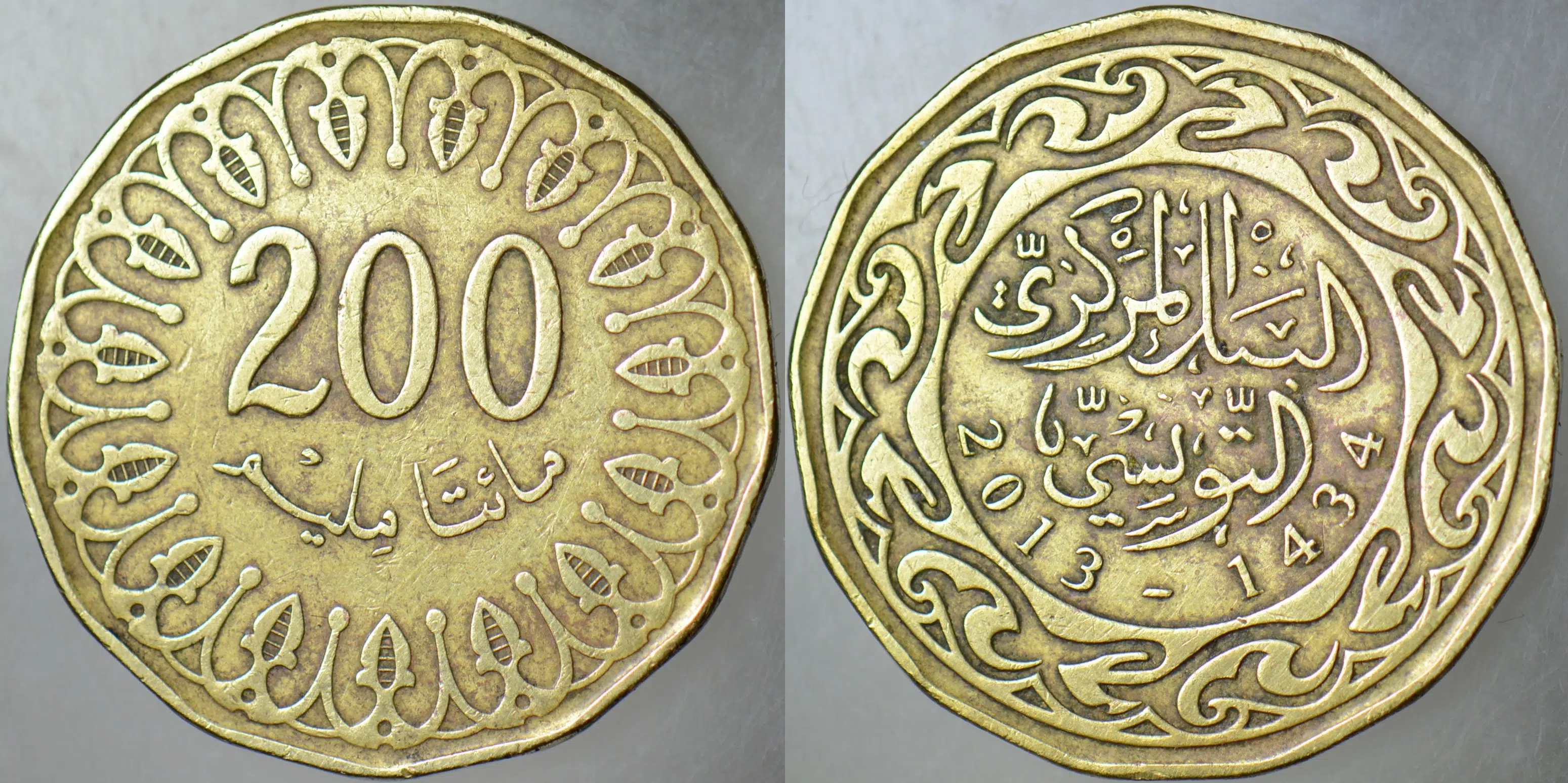 TUNUS 200 MİLLİM 2013.