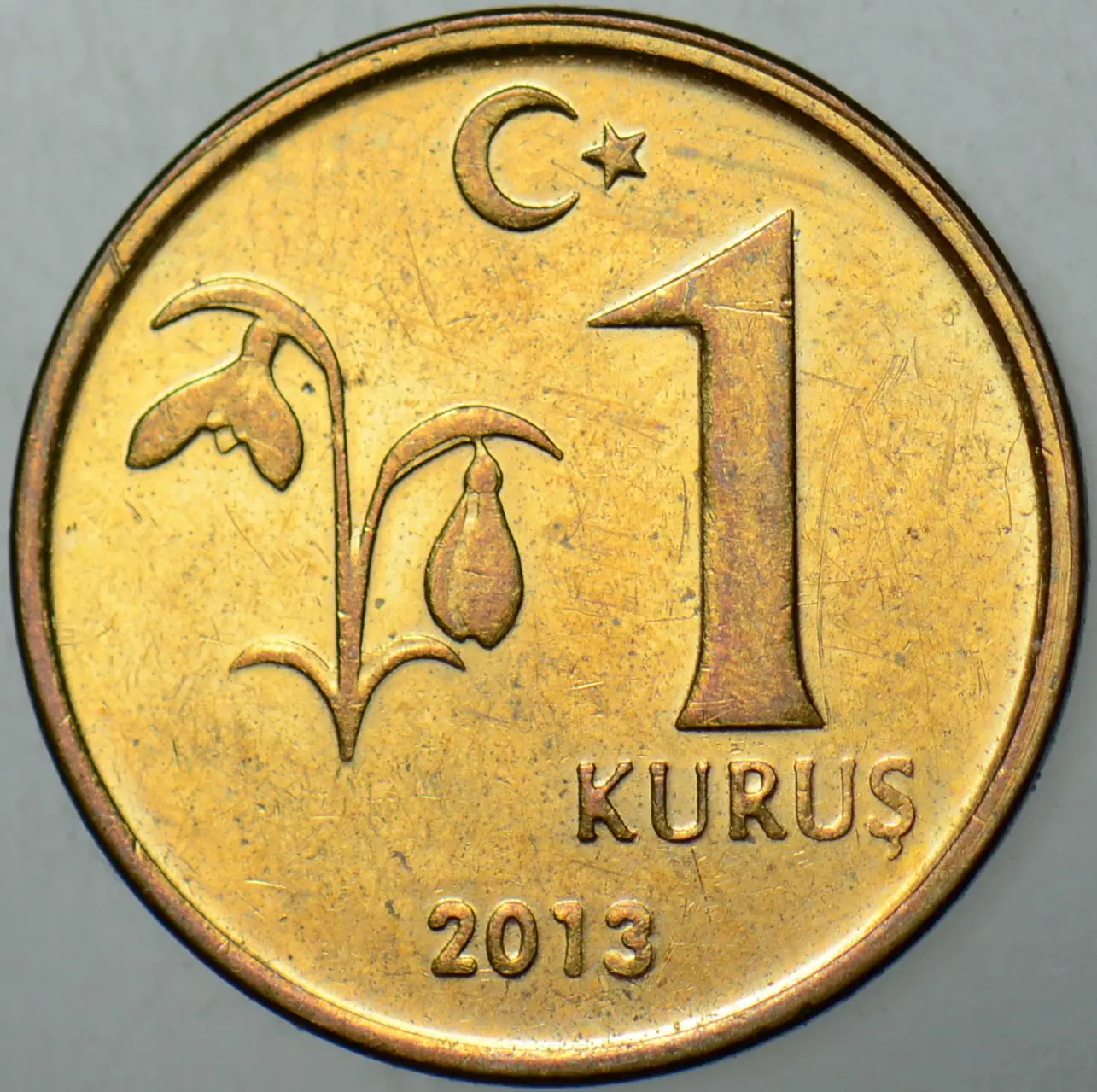 TÜRKİYE CUMHURİYETİ 1 KURUŞ 2013 ÇİLALTI+ KONDİSYON.