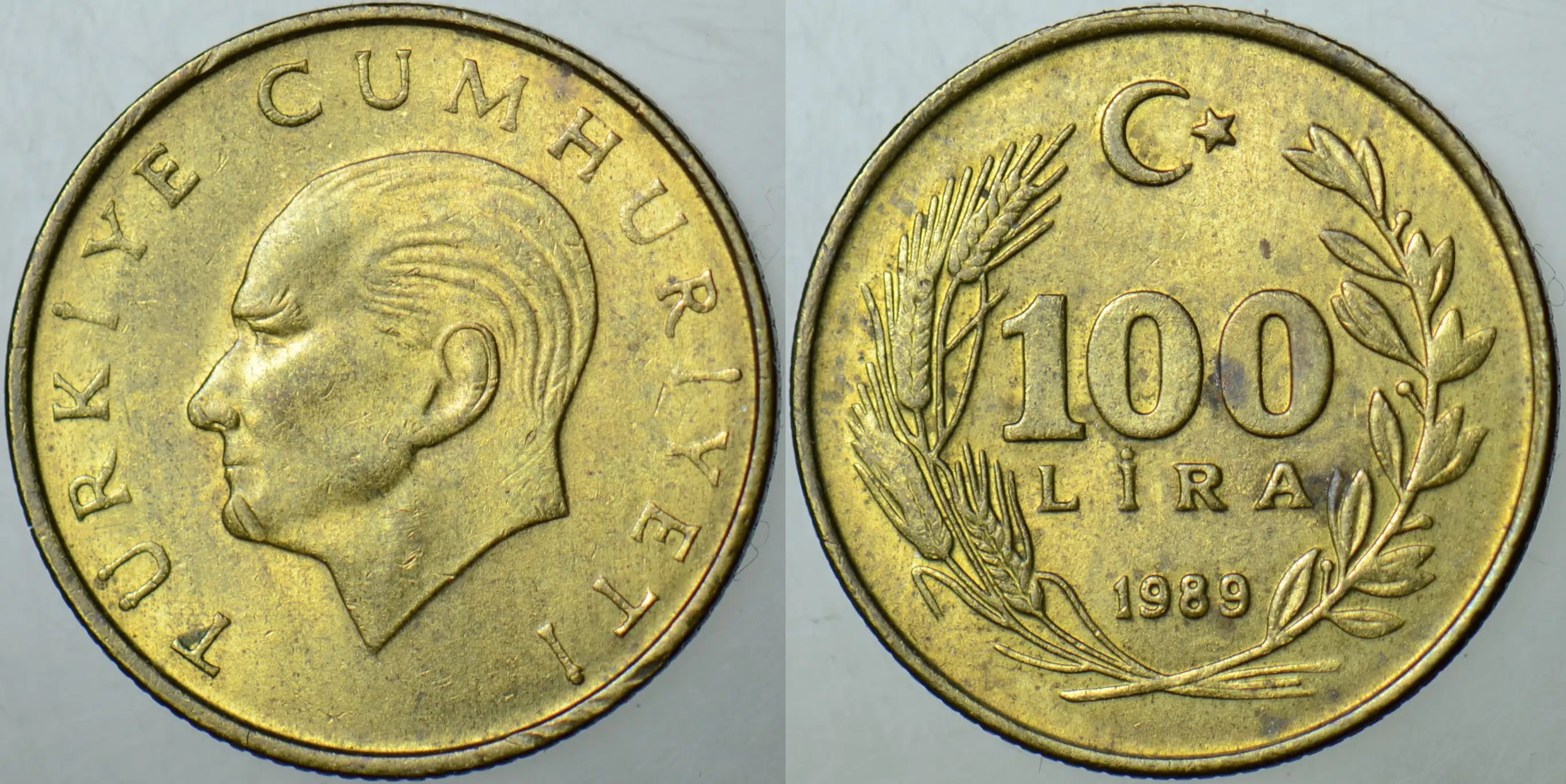 TÜRKİYE CUMHURİYETİ 100 LİRA 1989 SEYREK SAÇ. ÇİLALTI(-)