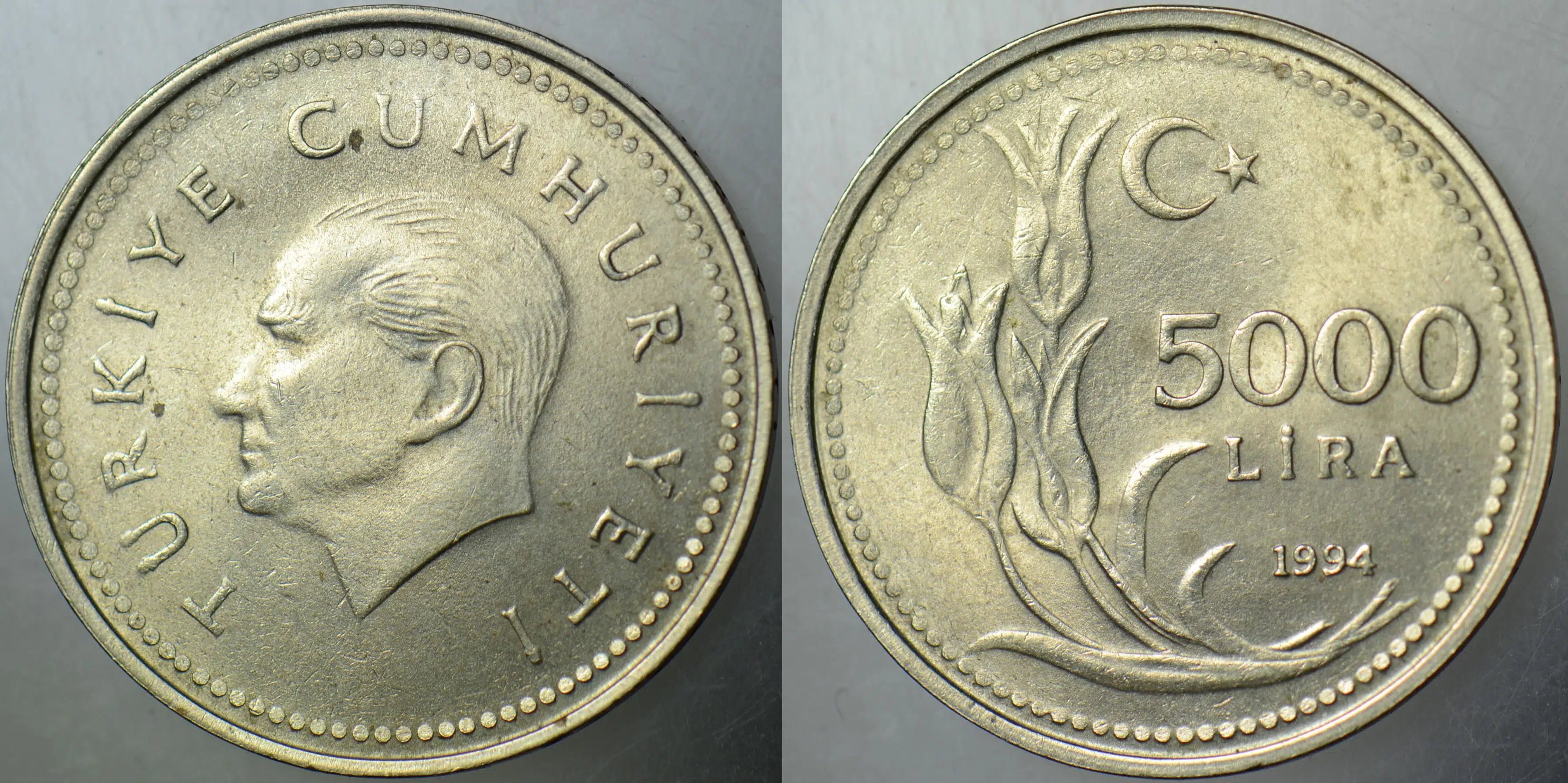 TÜRKİYE CUMHURİYETİ 5000 LİRA 1994 ÇİLALTI+
