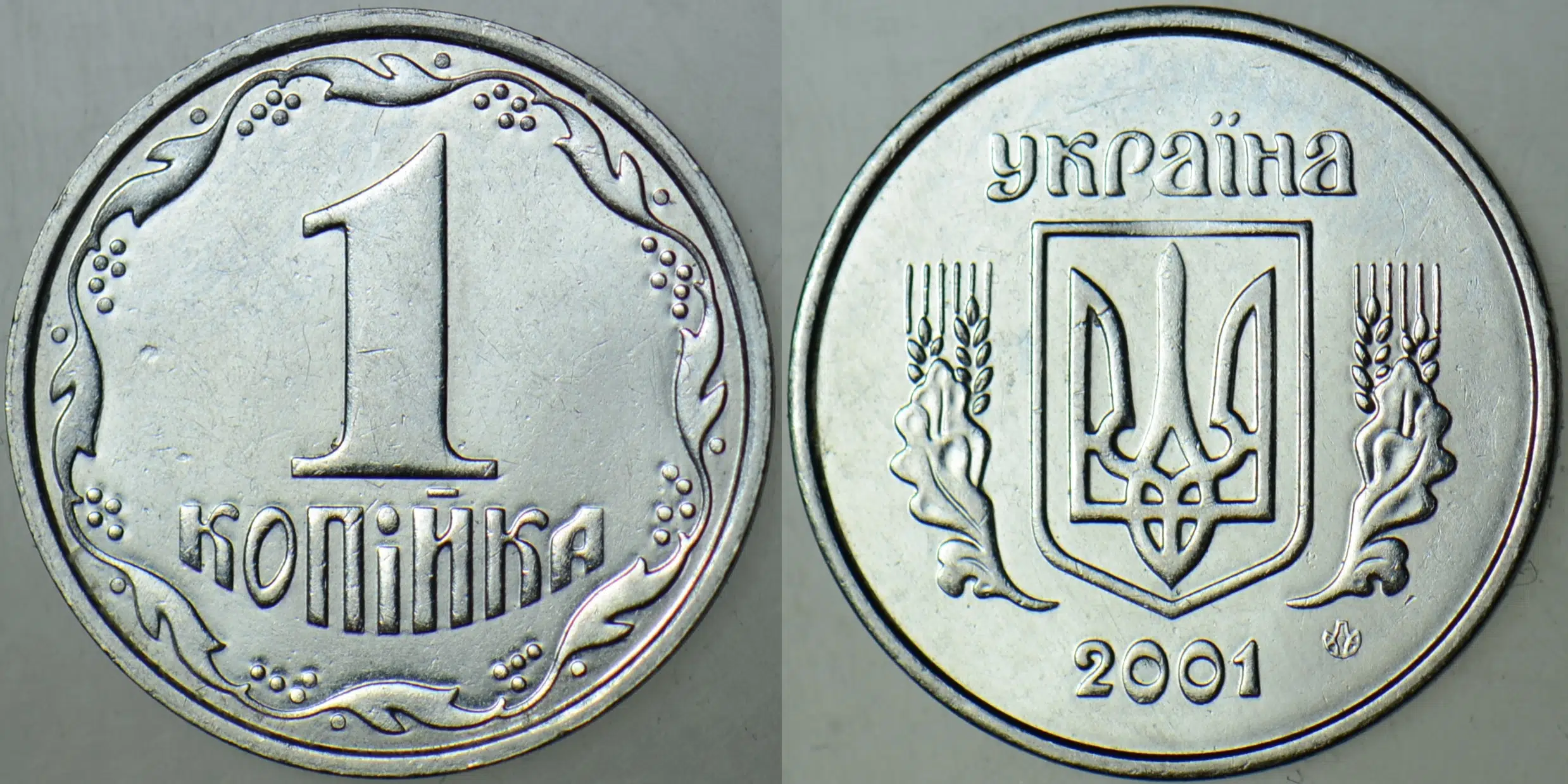 UKRAYNA 1 KOPİNKA 2001.