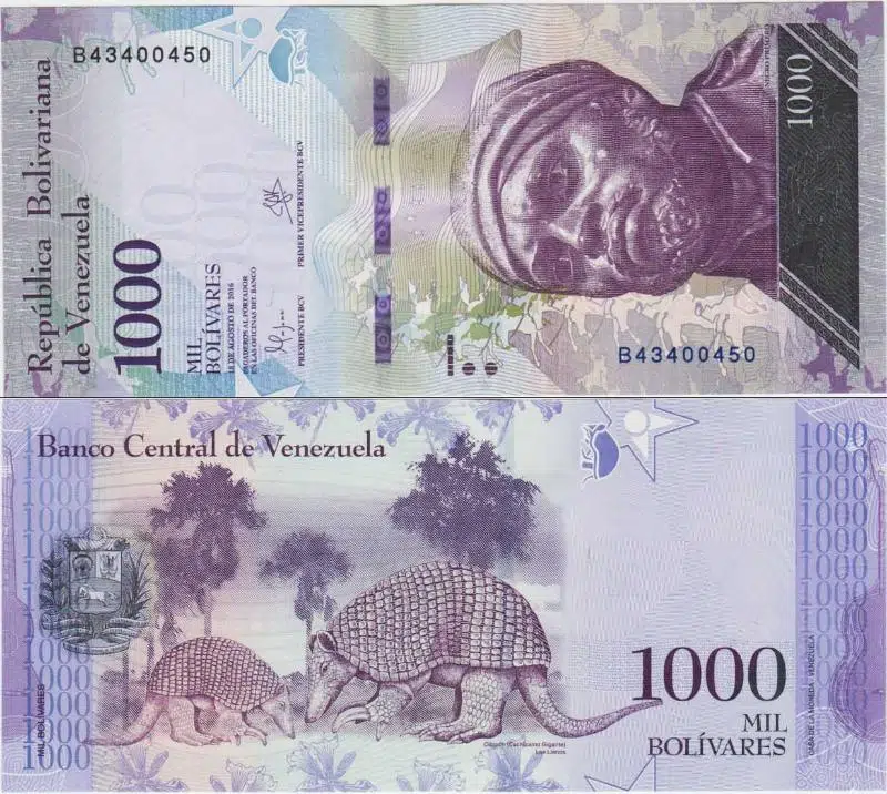 VENEZUELA 1000 BOLİVAR 2016 AZ ÇIKAN TARİH. ARMADİLLO TEMALI. ÇİL KONDİSYON.