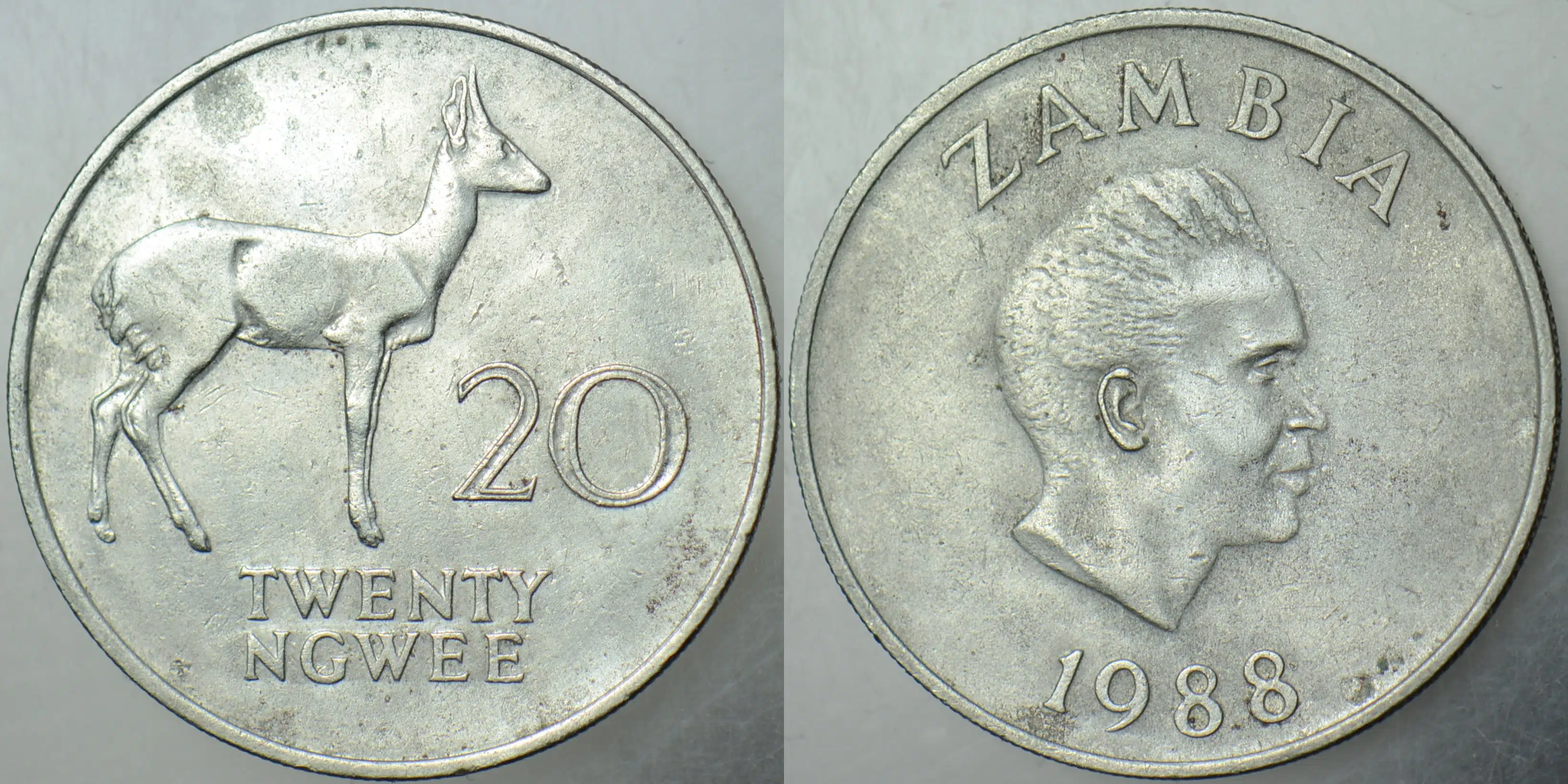 ZAMBİYA 20 NGWEE 1988.